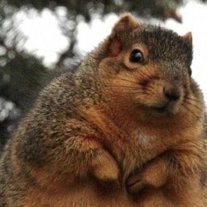 Meet your Posher, Kevin